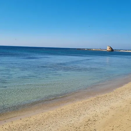 Scirocco Boutique Eco *